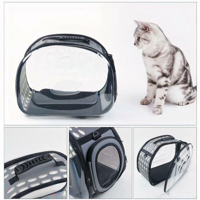 Gato Perro