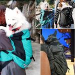 Mochila para perros