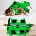 Gato Perro